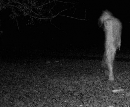 رؤية الجن في المنام