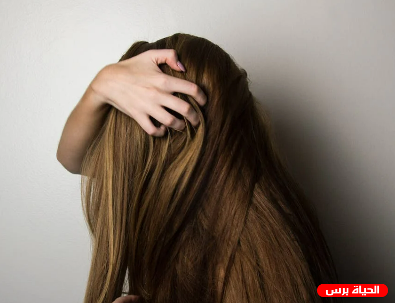 علاج قشرة الرأس والحكة
