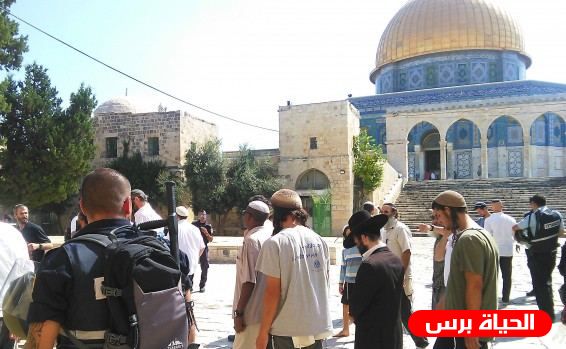 Des colons israéliens entrent par effraction dans la mosquée d’Al-Aqsa