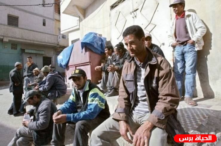 فتح: عمال فلسطين رافعة الثورة والدولة ومدرسة للعمل الوطني ووحدتهم انتصار للقضية