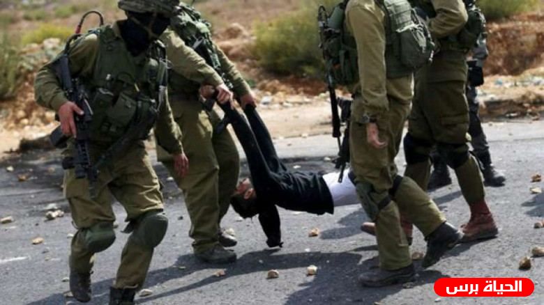 جندي يعتدي على مواطن خلال رعيه الماشية في الأغوار