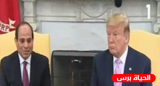 السيسي يلتقي ترامب ويؤكدان على التعاون في مكافحة الارهاب