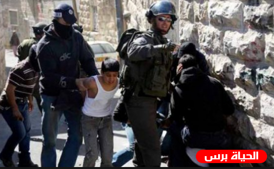 الاحتلال يغلق باب العامود ويعتقل ثمانية أطفال من القدس