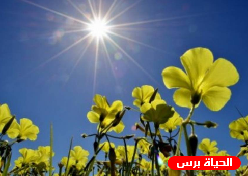 طقس فلسطين : رتفاع ملموس على درجات الحرارة اليوم الجمعة