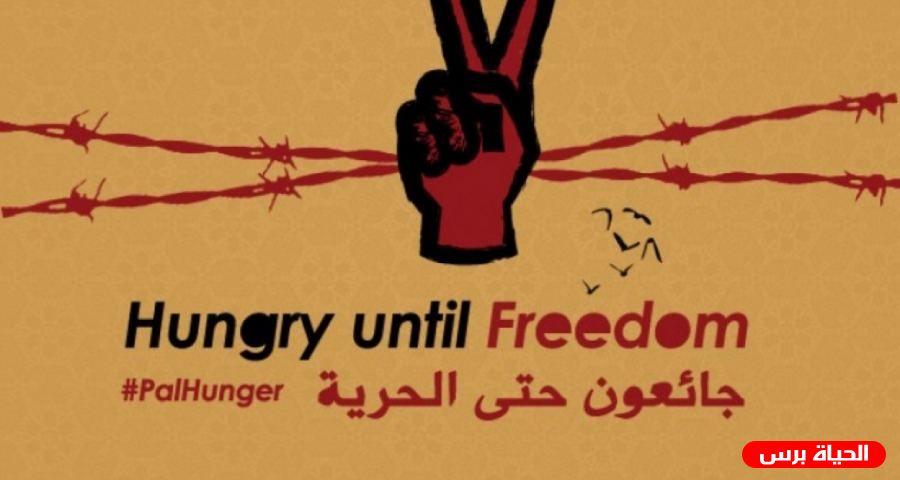 ستة معتقلين في سجون الاحتلال يواصلون إضرابهم عن الطعام