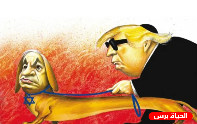 كاريكاتير نيويورك تايمز يثير الجدل باستهدافه نتنياهو وترامب