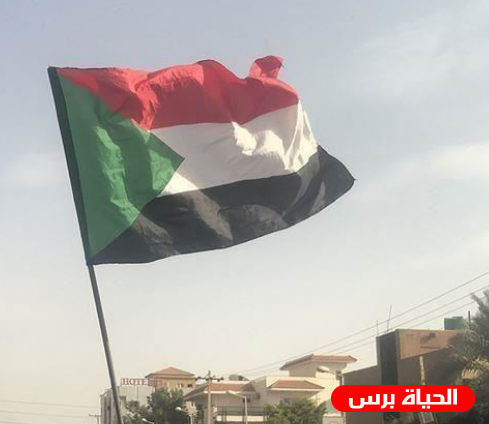 السودان يسترد 1.2 مليار دولار من رجل أعمال نهب البلد
