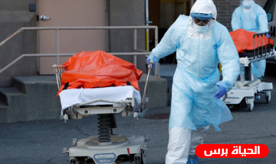 الولايات المتحدة 1330 وفاة جديدة جراء كوفيد-19