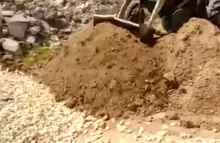 فيديو دفن ملايين الصيصان حية يثير الرأي العام في إيران وروحاني يتدخل