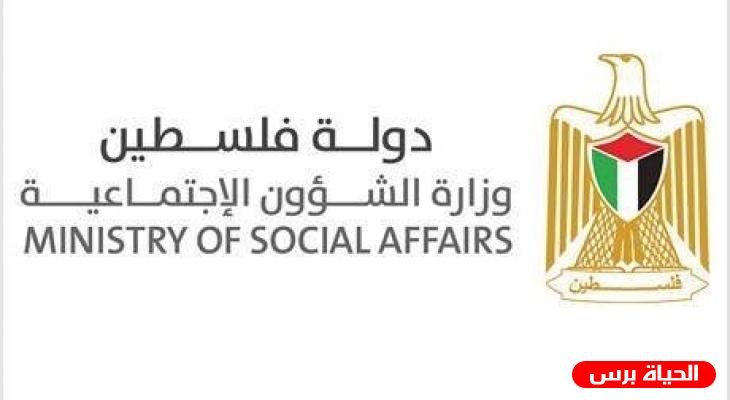 التنمية الاجتماعية تصدر النشرة الإحصائية للنساء ضحايا العنف خلال الربع الأول من العام الحالي