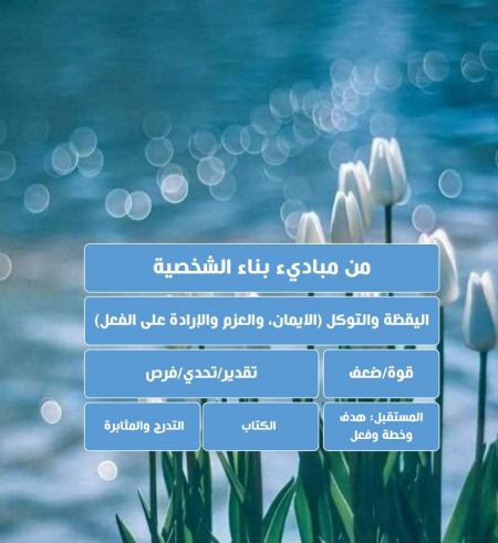 من اليقظة الى التدرج والمثابرة بكر أبوبكر