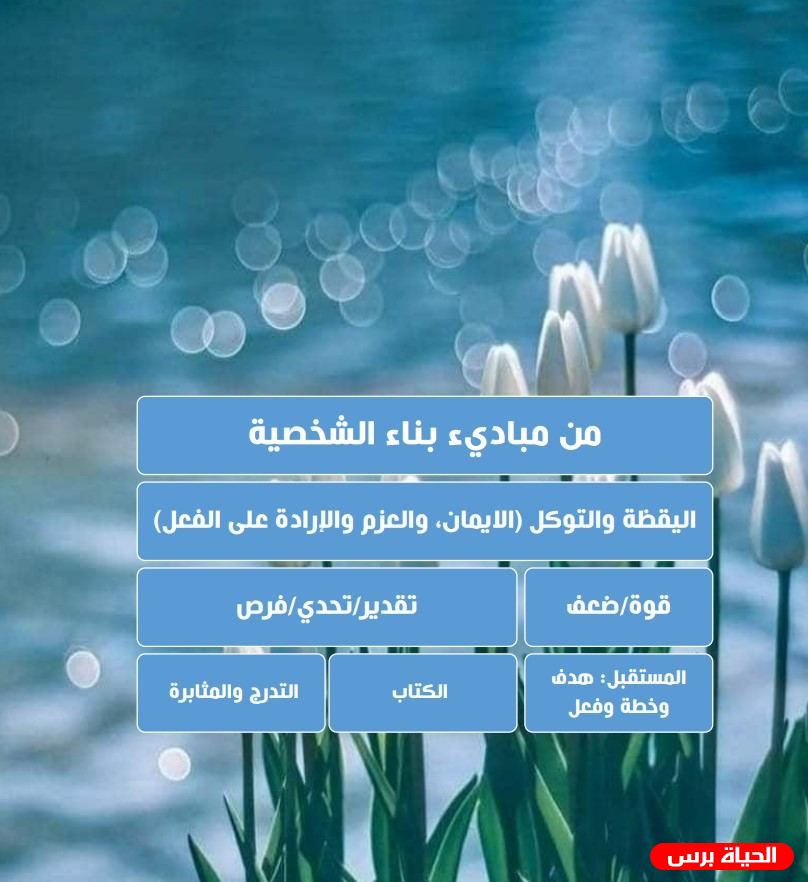 من اليقظة الى التدرج والمثابرة بكر أبوبكر