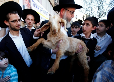 مخطط ذبح القرابين المزعومة بالأقصى وآليات تفجير الصراع .. الكاتب الاعلامي : سري القدوة 