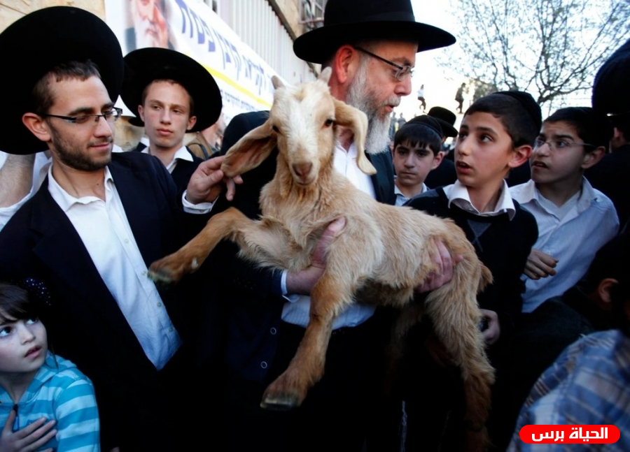 مخطط ذبح القرابين المزعومة بالأقصى وآليات تفجير الصراع .. الكاتب الاعلامي : سري القدوة 
