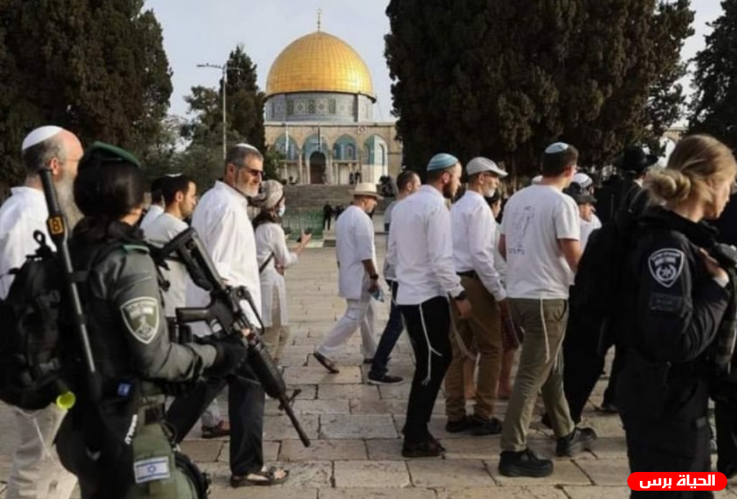 وزارة القدس: التصعيد الإسرائيلي في المدينة خطير ونحمل الاحتلال تداعياته
