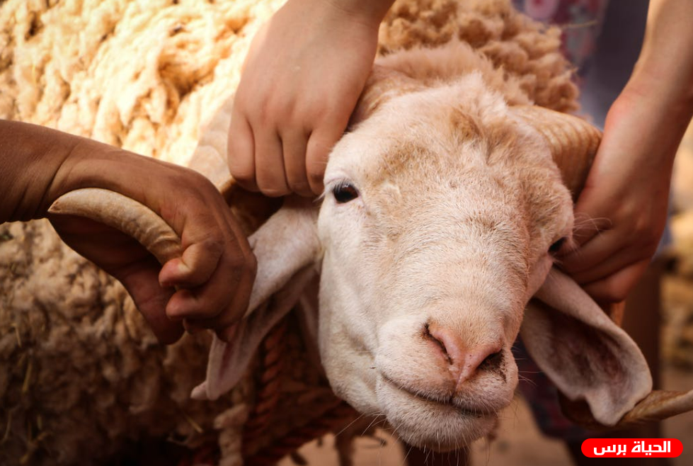 كم باقي على عيد الأضحى 2023