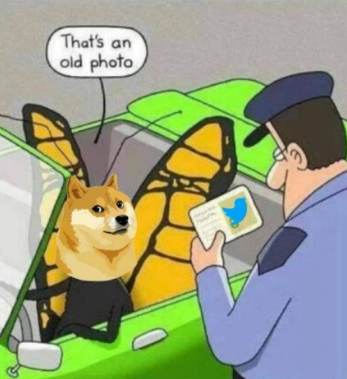 ايلون ماسك يستبدل طائر تويتر بصورة كلب "دوج كوين - Dogecoin" 