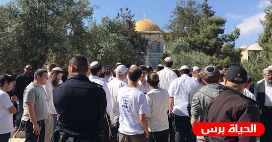 مستوطنون يستأنفون اقتحاماتهم للمسجد الأقصى بحراسة مشددة