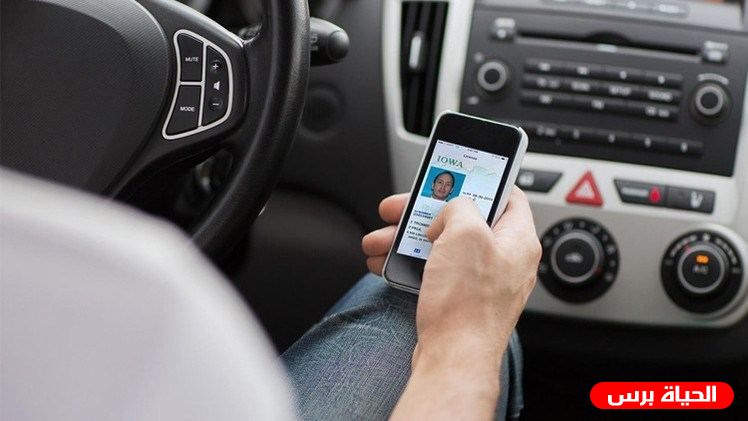 وزارة النقل تعيد تفعيل وإصدار بطاقات رخصة القيادة البلاستيكية بدلا من الورقية