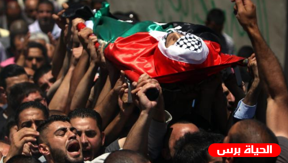 مركز الحوراني: 6 شهداء والاحتلال يستولي على مئات الدونمات خلال نيسان الماضي