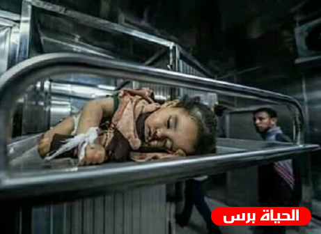 بالأسماء .. 28 شهيد في قطاع غزة جراء التصعيد المستمر
