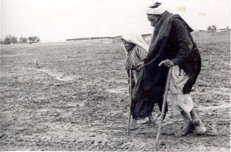 71 ans après la Nakba de Palestine
