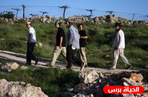 مستوطنون يعتدون على حقول زراعية قرب نابلس 