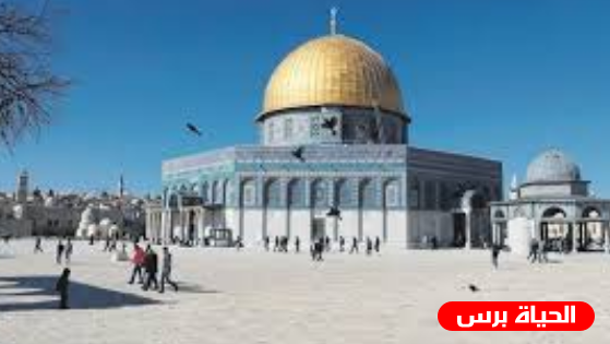 تقرير الانتهاكات الاسرائيلية بحق مدينة القدس حتى اليوم الأحد 19/5/219 