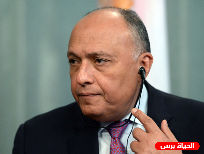 الخارجية المصرية توضح الدعم المصري لحفتر وموقفها من التدخل التركي