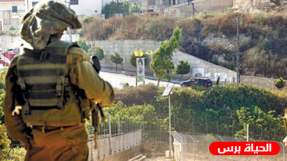 الاحتلال يحاول اختطاف راع ويسرق أغنامه جنوب لبنان