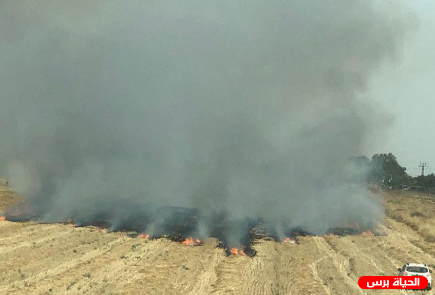 الاحتلال يخلي منازل مستوطنين في غلاف غزة بعد اشتعال النيران