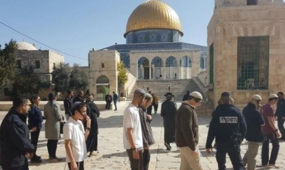 منظمات الهيكل تستعد لاقتحام واسع لباحات الأقصى خلال أيام