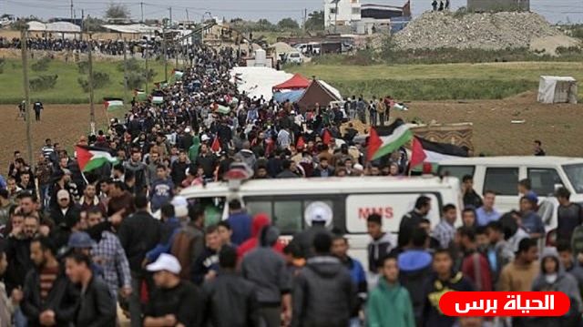 محدث:إصابات بالاختناق في قمع الاحتلال المسيرات السلمية شرق قطاع غزة