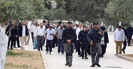 De nouvelles incursions des colons israéliens dans la mosquée d’Al-Aqsa 