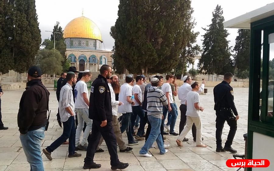 وسط دعوات جماعات الهيكل لاستباحته: 137 مستوطنا يقتحمون 