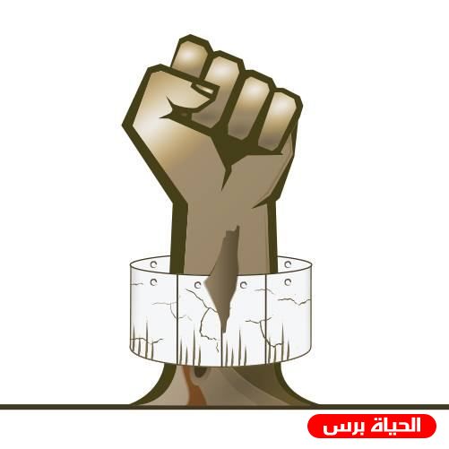بيت لحم: مواطن ينتزع قرارا بتثبيت حدود كوشان طابو لأرضه