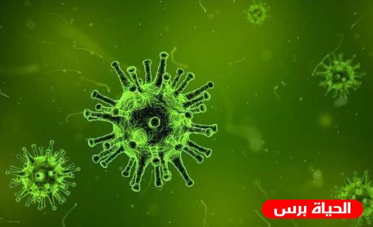 تسجيل 15 اصابة جديدة بفيروس كورونا في اسرائيل