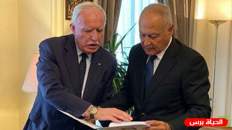 المالكي يبحث مع أبو الغيط الآليات المناسبة لمواجهة خطر الضم الإسرائيلي