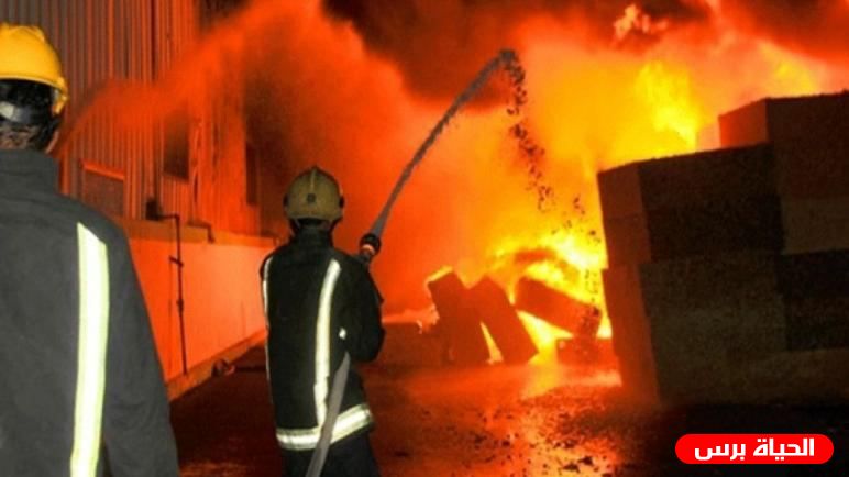 حريق يأتي على مئات الدونمات بالأغوار الشمالية