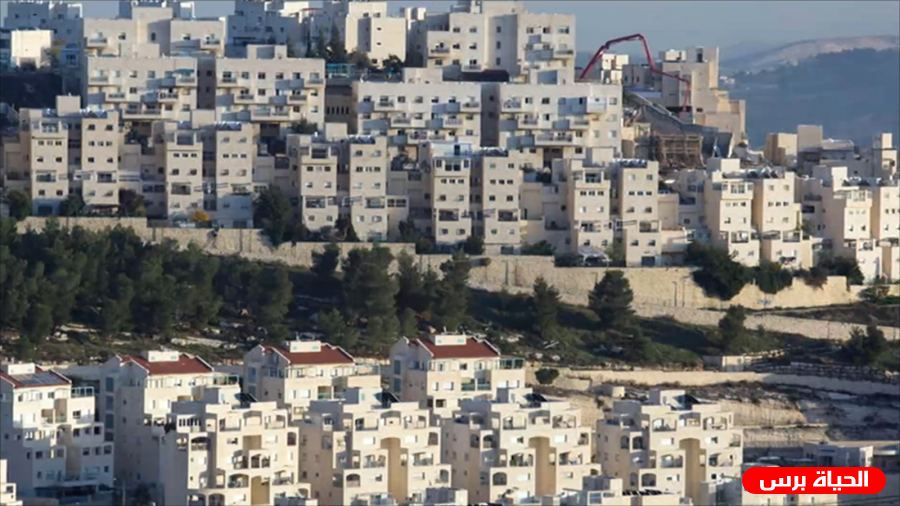 مصر تدين شرعنة بؤر استيطانية في الأراضي الفلسطينية المحتلة