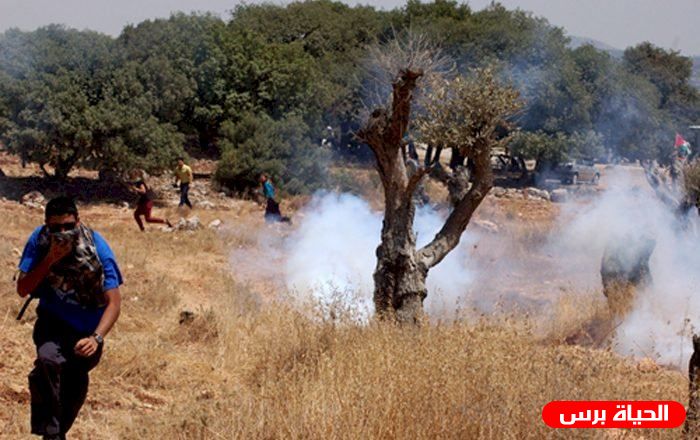 الاحتلال يعتقل الشاب سائد سدر خلال قمع المشاركين في مسيرة نصرة للحرم الإبراهيمي