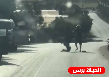 تفاصيل استشهاد الشاب ديار عمري من قرية صندلة 
