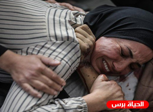 شهيد بقصف مركبة في غزة