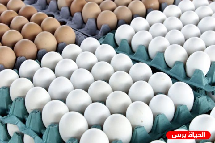 اسعار كرتونة البيض اليوم الاثنين 28/10/2019
