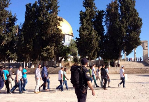 الاحتلال يعتدي على أحد حراس الأقصى ويعتقله