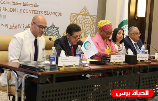 القاهرة: اختتام أعمال الاجتماع الوزاري التشاوري بشأن تمكين المرأة بمشاركة فلسطين
