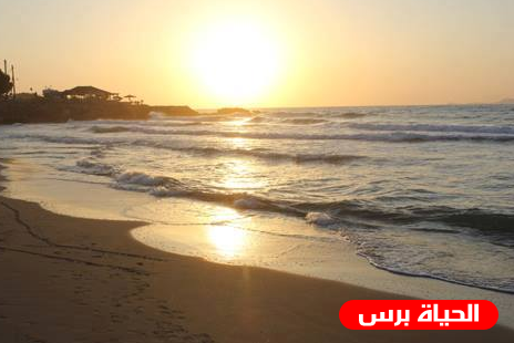 حالة الطقس: أجواء صيفية والحرارة أعلى من معدلها السنوي بقليل