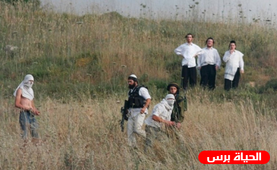 مستوطنون يعتدون على المواطنين قرب نابلس ويجرفون أراضي في بيت لحم