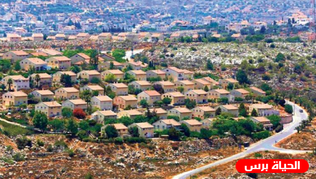 503 مستوطنة في الضفة والقدس .. إحصائية تفصيلية عن الأراضي المحتلة