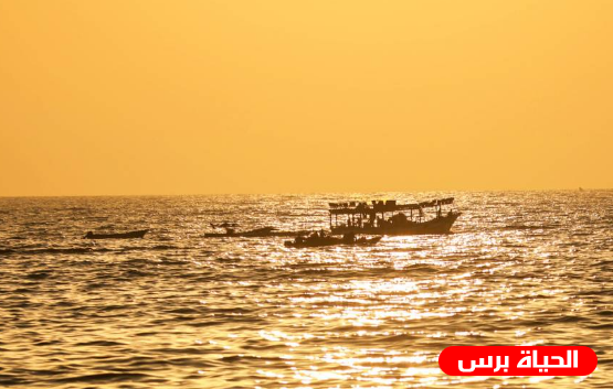 الطقس: الحرارة أعلى من معدلها السنوي بقليل